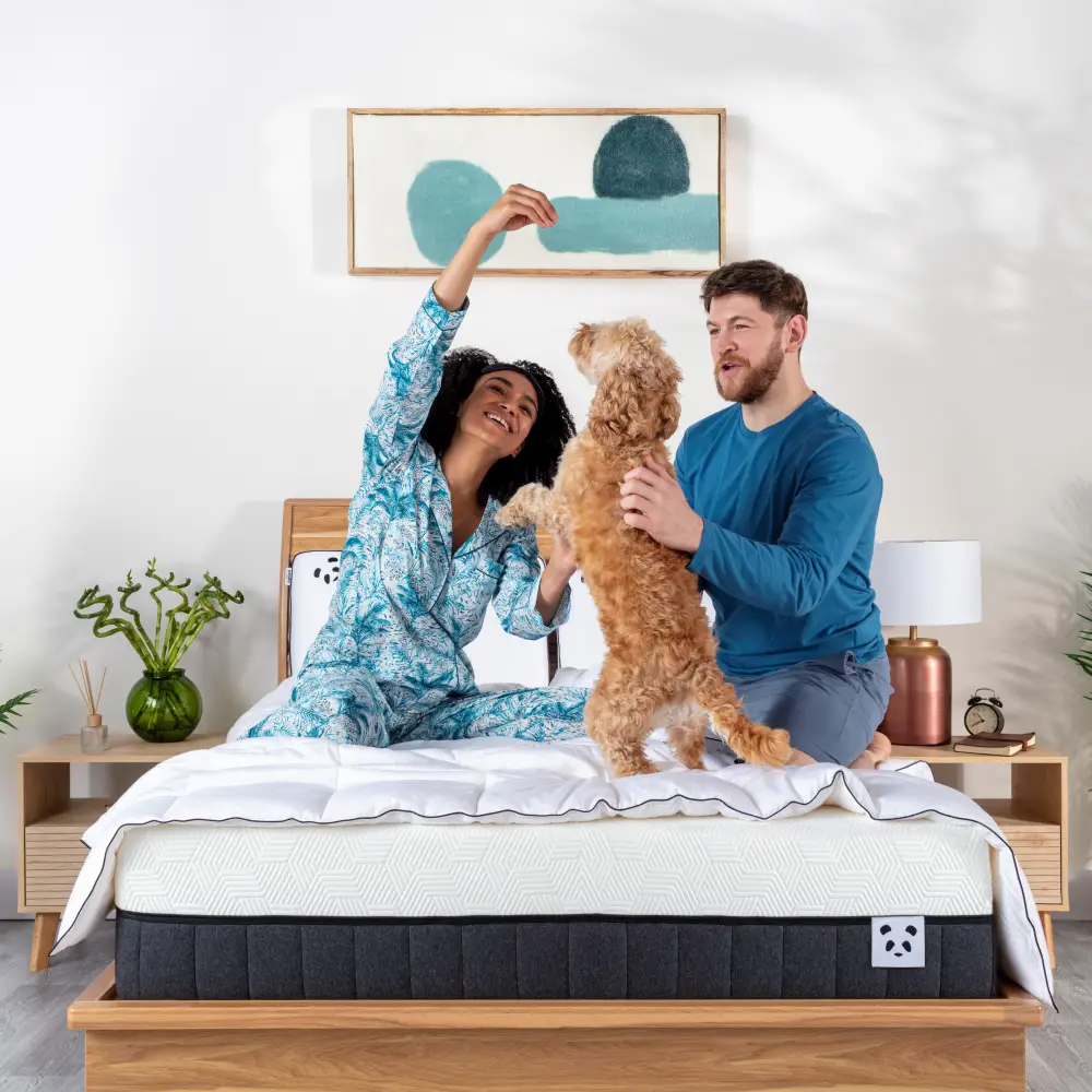 Ultimate Mattress Pro Bundle - Image 56